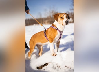 Robin ❤️ verspielte, liebenswerte Hundeschnute