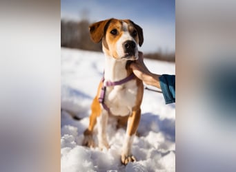 Robin ❤️ verspielte, liebenswerte Schnute