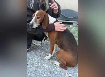 Kleppo ❤️ so menschenbezogen + schmusig