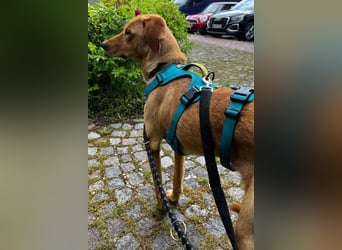 Dany ❤️ wartet bereits in 21075 Hamburg