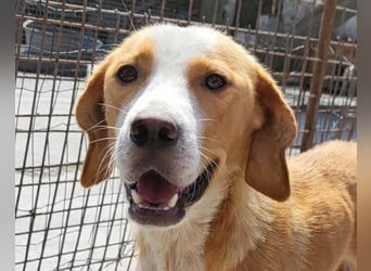 Sami ❤️ super offen, verschmust & lieb! Sami ❤️ super offen, verschmust & lieb!