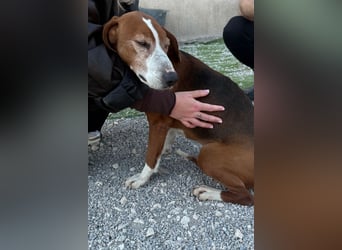 Kleppo ❤️ so menschenbezogen + schmusig