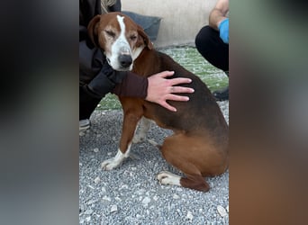 Kleppo ❤️ so menschenbezogen + schmusig