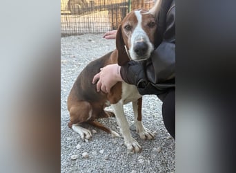 Kleppo ❤️ so menschenbezogen + schmusig