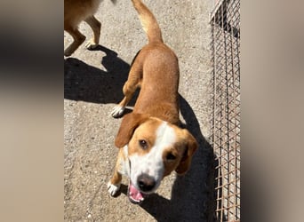 Sami ❤️ super offen, verschmust & lieb! Sami ❤️ super offen, verschmust & lieb!