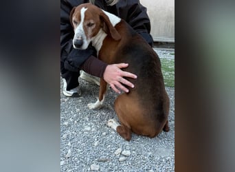 Kleppo ❤️ so menschenbezogen + schmusig