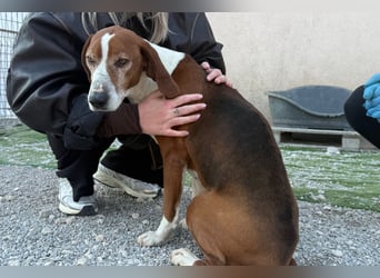 Kleppo ❤️ so menschenbezogen + schmusig