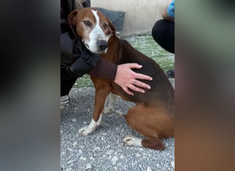 Kleppo ❤️ so menschenbezogen + schmusig