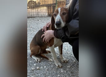 Kleppo ❤️ so menschenbezogen + schmusig