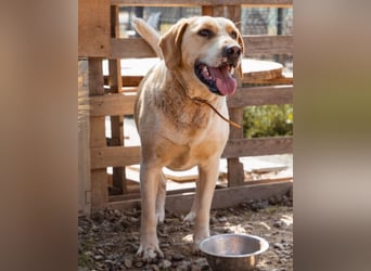 Alfonso ❤️ kinderlieb, fröhlich, so lieb