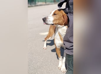 aktiver GUS sucht seine Familie