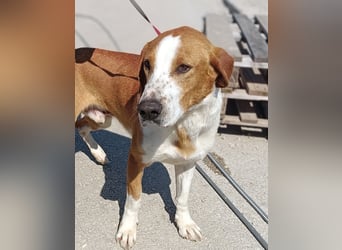 aktiver GUS sucht seine Familie