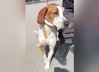 aktiver GUS sucht seine Familie