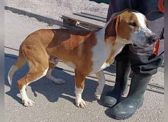 aktiver GUS sucht seine Familie