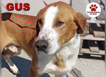 aktiver GUS sucht seine Familie