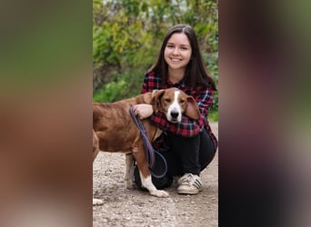 Max - unkomplizierte Savetal Bracke