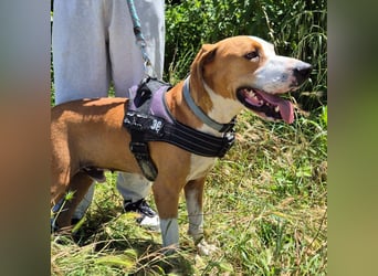 Gregorio - junger dynamischer Wirbelwind