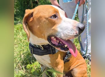 Gregorio - junger dynamischer Wirbelwind