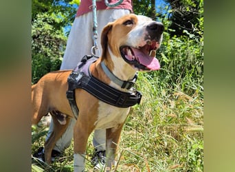 Gregorio - junger dynamischer Wirbelwind