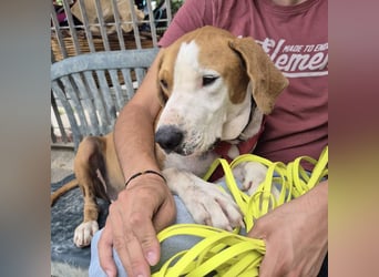 Gregorio - junger dynamischer Wirbelwind