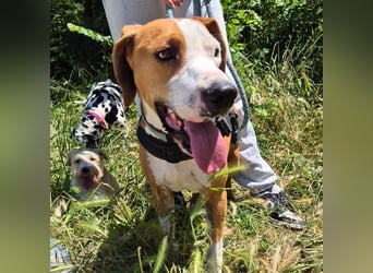 Gregorio - junger dynamischer Wirbelwind