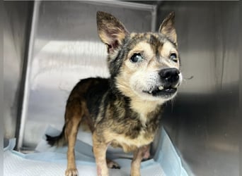 Mia - zum Sterben ausgesetzt