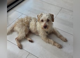 Kiki, ca 2 Jahre