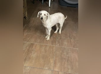 Malna möchte ankommen