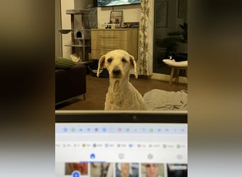 Malna möchte ankommen