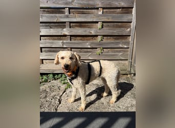 Malna - möchte dein Herz erobern