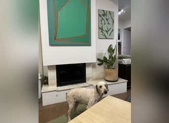 Malna möchte ankommen