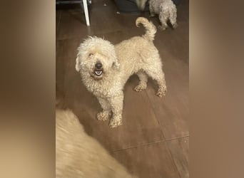 Malna möchte ankommen