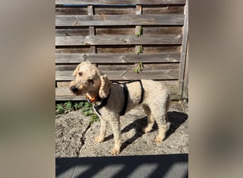 Malna - möchte dein Herz erobern