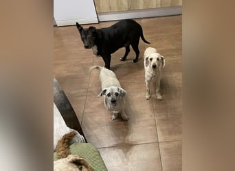 Malna möchte ankommen