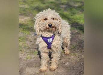 Alba kennt keine liebevolle Zuwendung