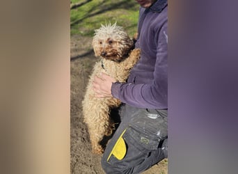 Filiz bekam nur die notwendige Zuwendung