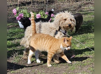 Alba kennt keine liebevolle Zuwendung