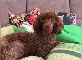 Juria ist klug, charmant und sensibel (45739 Oer-Erkenschwick)