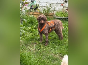 Juria ist klug, charmant und sensibel (45739 Oer-Erkenschwick)