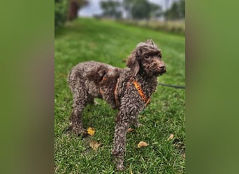 Juria ist klug, charmant und sensibel (45739 Oer-Erkenschwick)