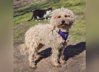 Alba kennt keine liebevolle Zuwendung