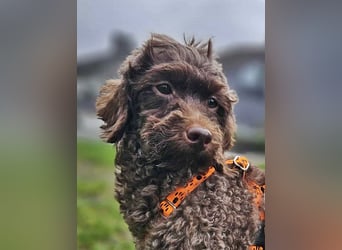 Juria ist klug, charmant und sensibel (45739 Oer-Erkenschwick)