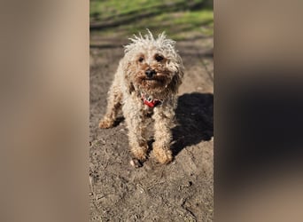 Filiz bekam nur die notwendige Zuwendung