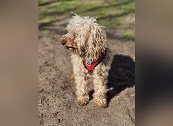 Filiz bekam nur die notwendige Zuwendung