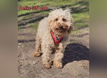 Filiz bekam nur die notwendige Zuwendung