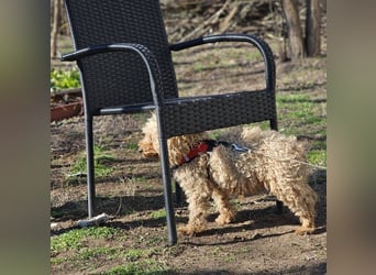 Filiz bekam nur die notwendige Zuwendung