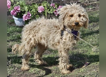 Alba kennt keine liebevolle Zuwendung