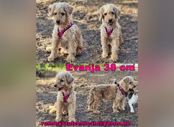 Evanja kennt noch wenig von der großen, weiten Welt