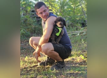 Smokey sucht ein ländliches Zuhause