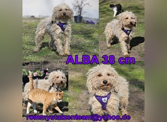 Alba kennt keine liebevolle Zuwendung